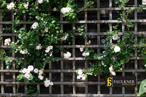 Can I put trellis on my Neighbours garage wall? 2 Do you want to adapt your neighbours garage door and add a trellis Basingstoke? Talk to Faulkner Surveyor Basingstoke
